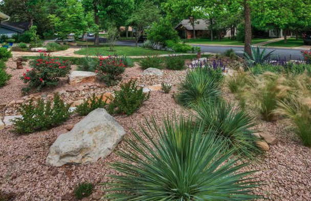 Have/are you making changes to your yard to use less water?