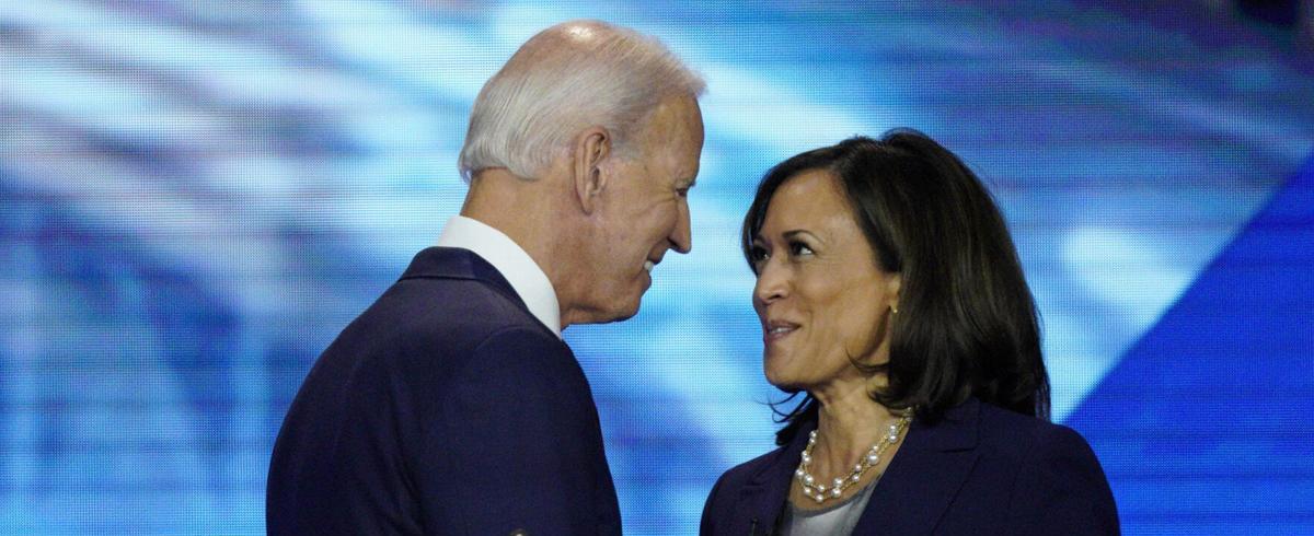 What do you think of Joe Biden's choice for Vice President?