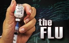 Do you plan on getting the flu shot this year?