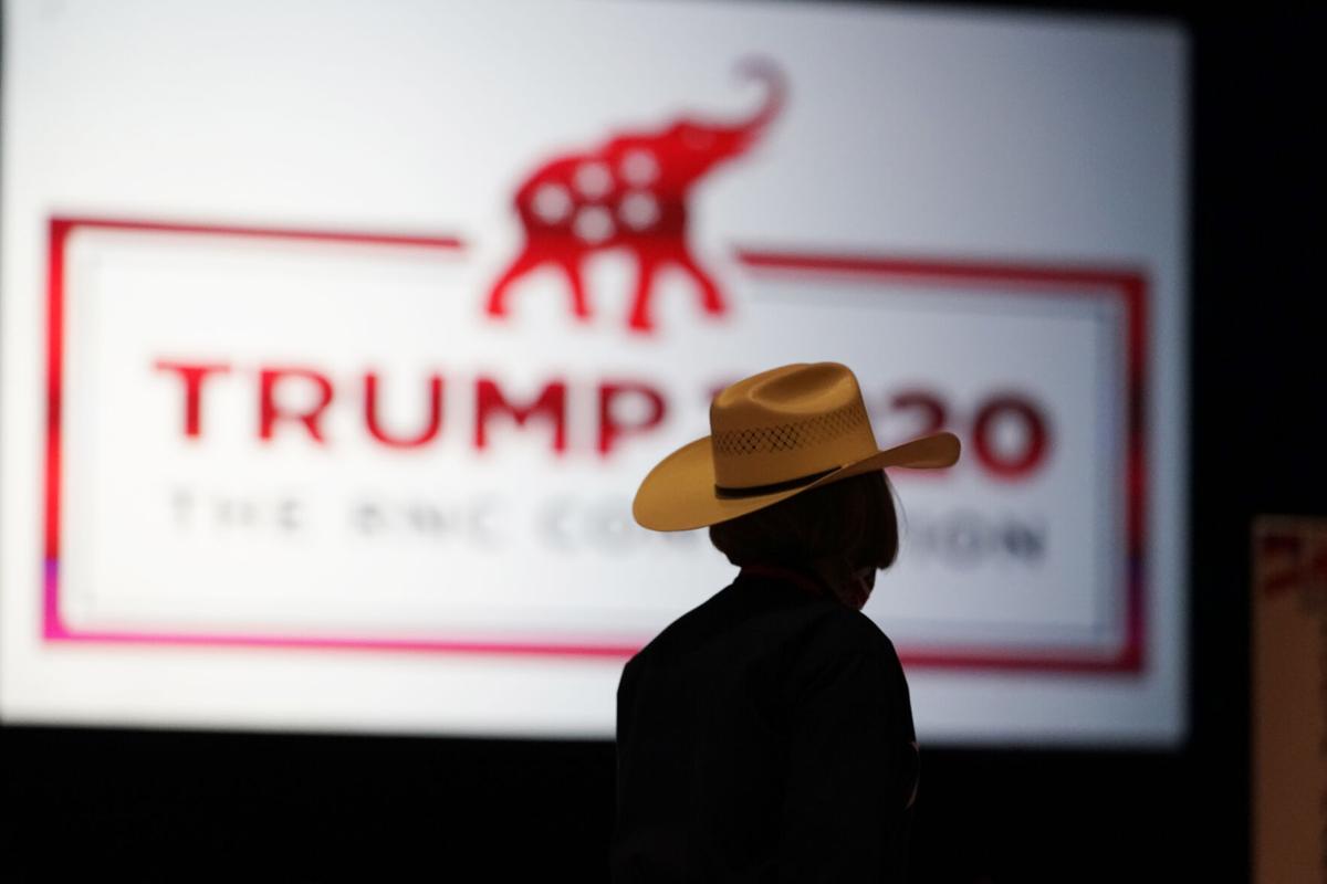 How do you think the RNC is going?