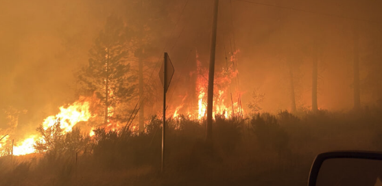 Would you be prepared in an emergency if you had to leave home?
