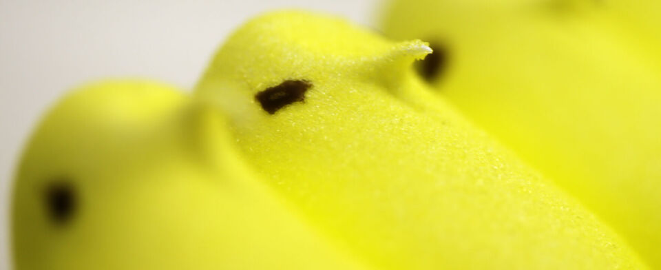 The Peeps factory is shut down. Are you disappointed?