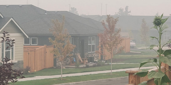 Have you tried any hacks to keep the smoke out of your house?