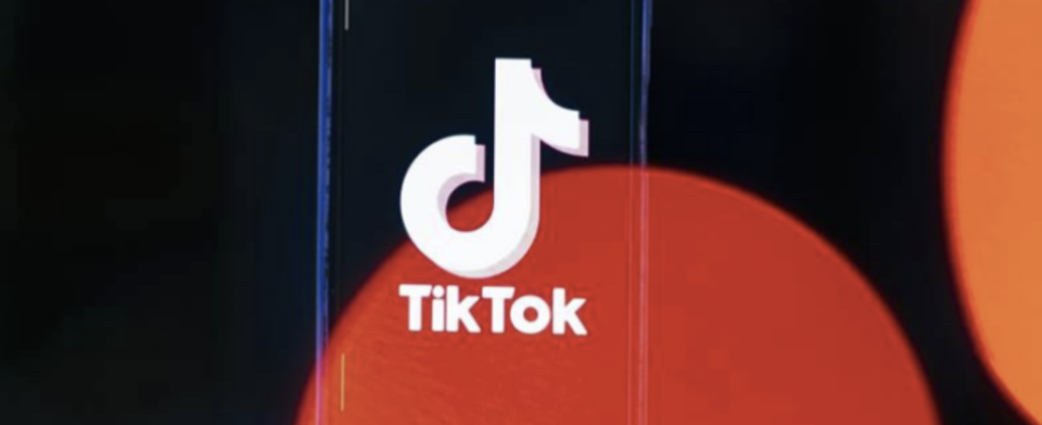 Do you think TikTok should be permanently banned?