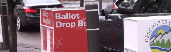 Did you vote in the primary election?