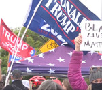 Do you consider political signs a problem?