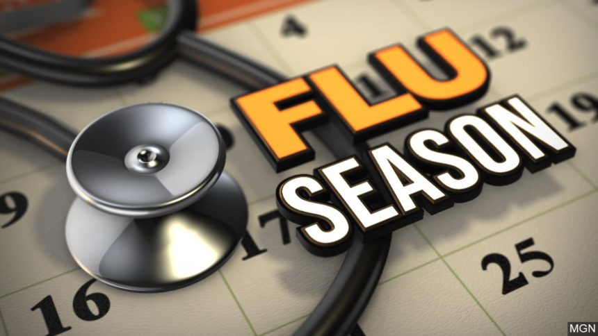 Are you planning on getting a flu shot?