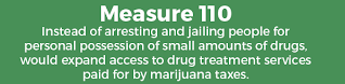 Do you support or oppose Measure 110?