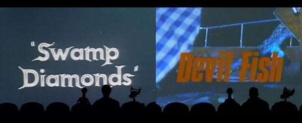 Which is your favored experiment?