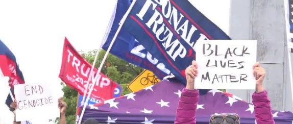Have you ever campaigned/rallied for a political candidate?