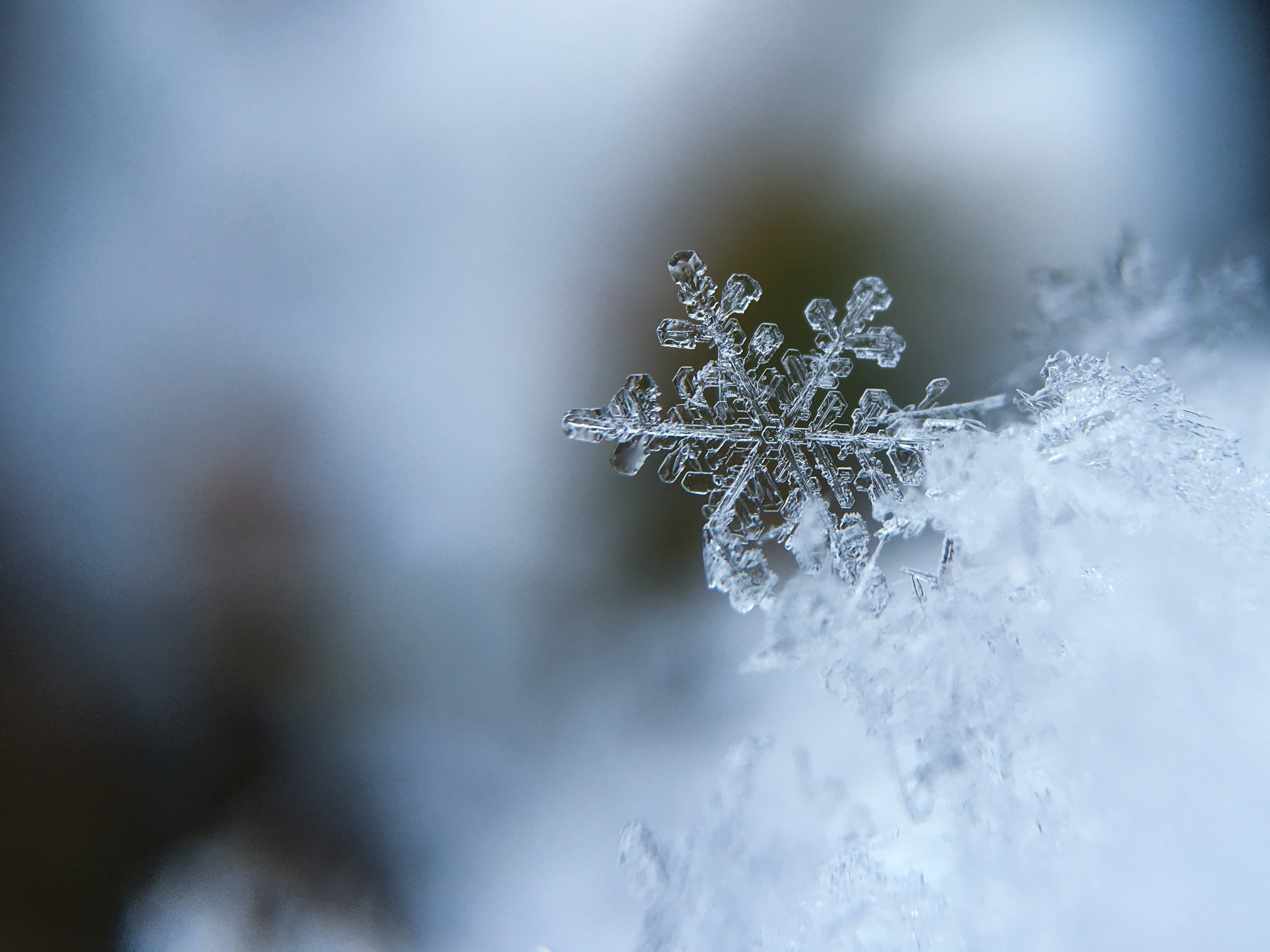 Would you rather we have weather like this or summer weather?