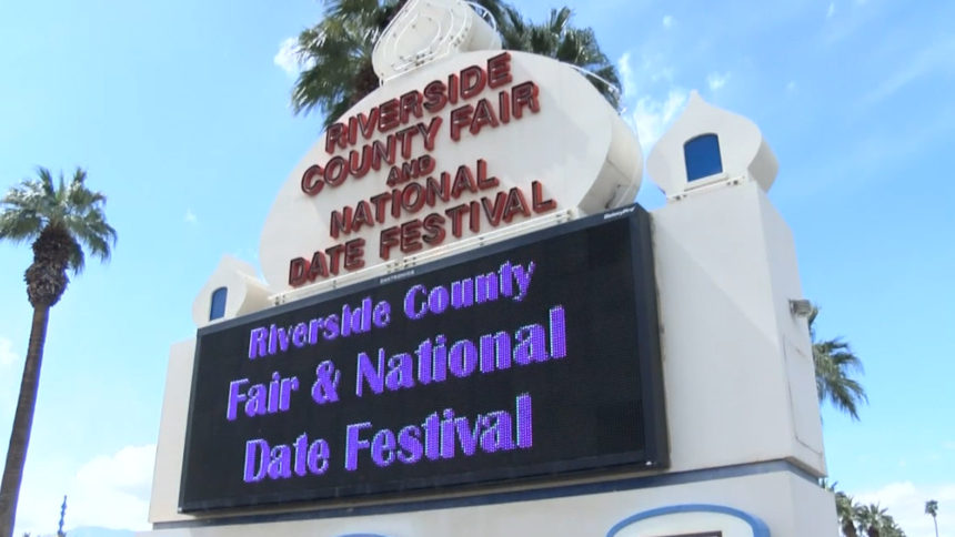 Do you think the Date Festival should move to a bigger city?