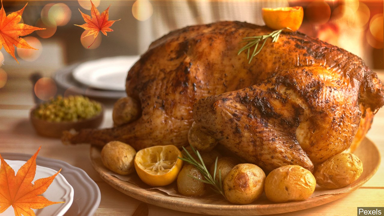 Will you travel over the Thanksgiving holiday? 
