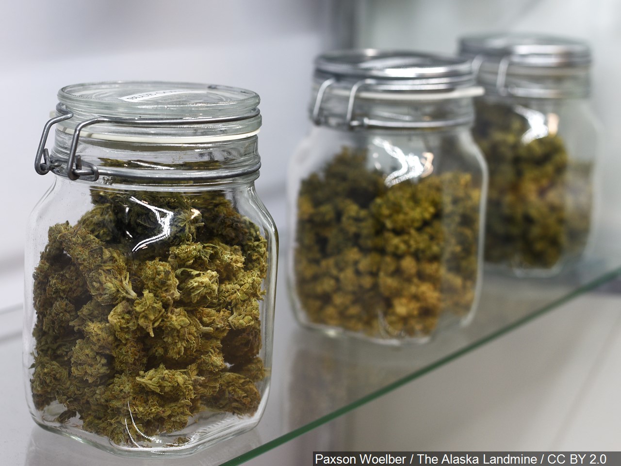 Should the U.S. Senate follow the House's lead in voting to decriminalize marijuana?