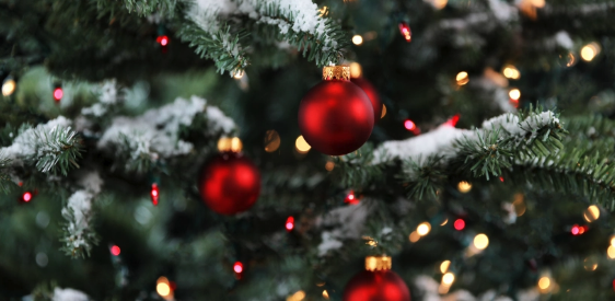 In spite of 2020, did you have a Merry Christmas this year?