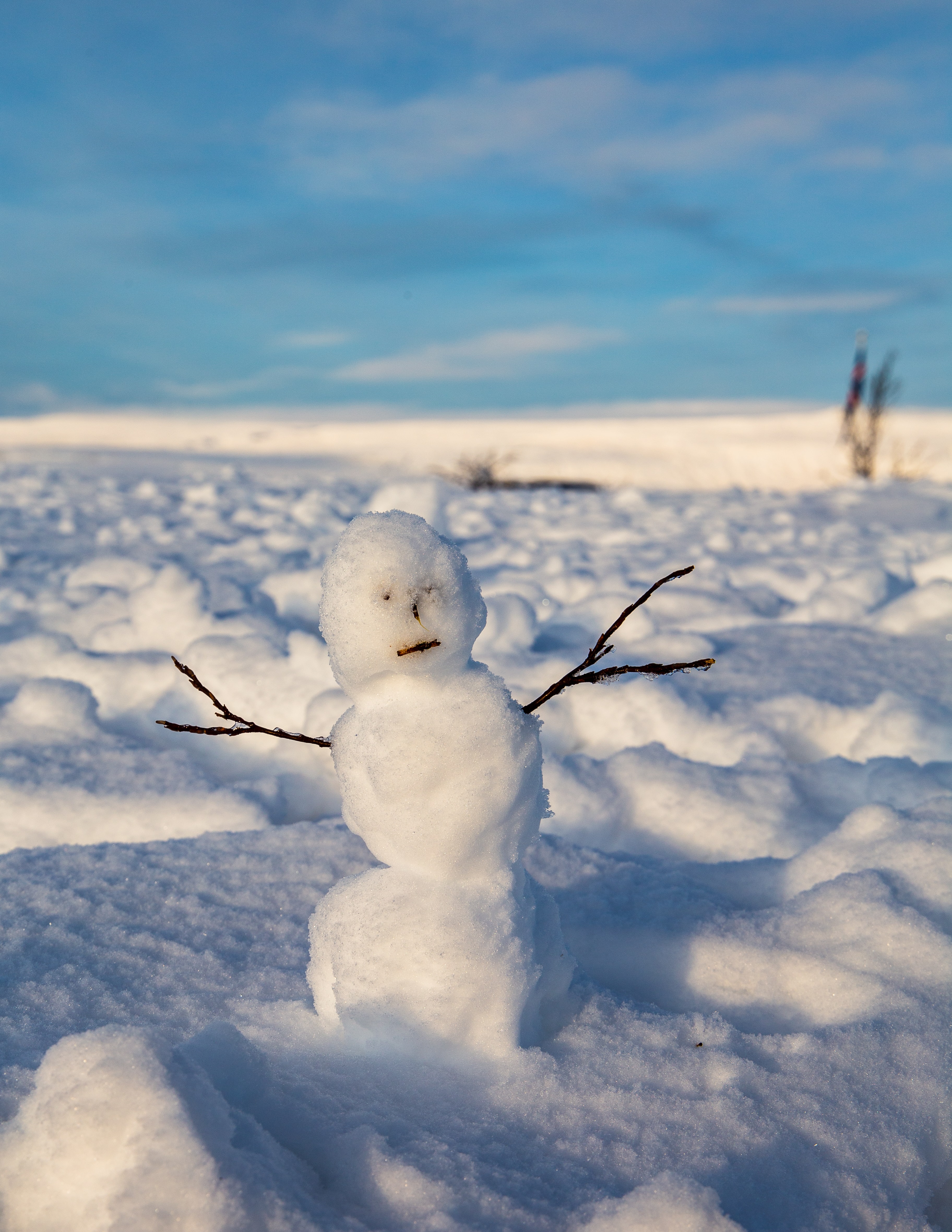 Do you wanna build a snowman?