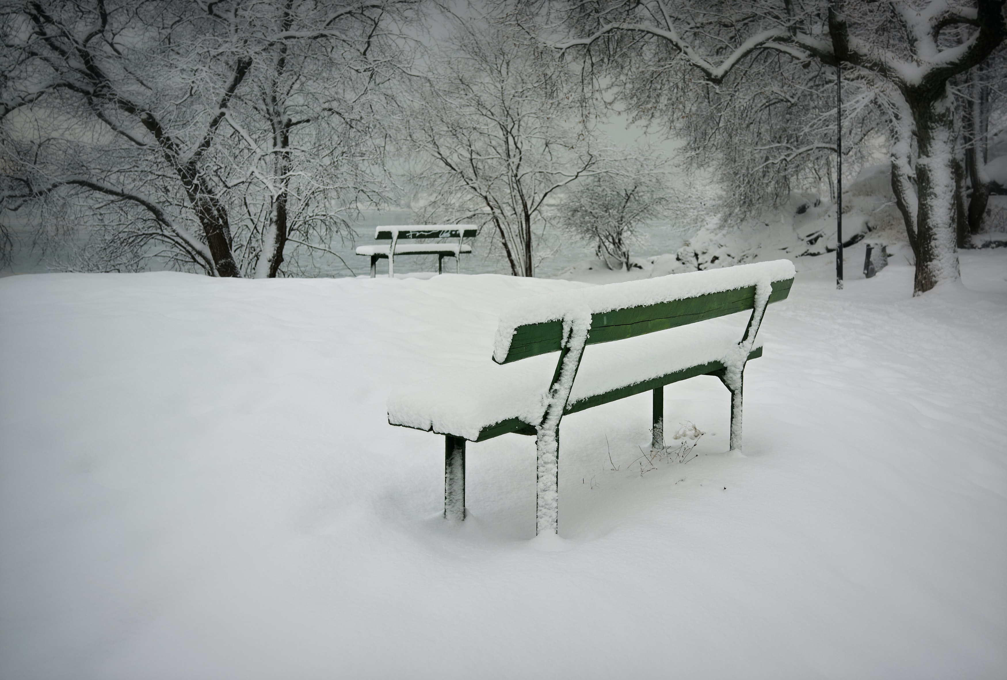 Do you love a good snow day?