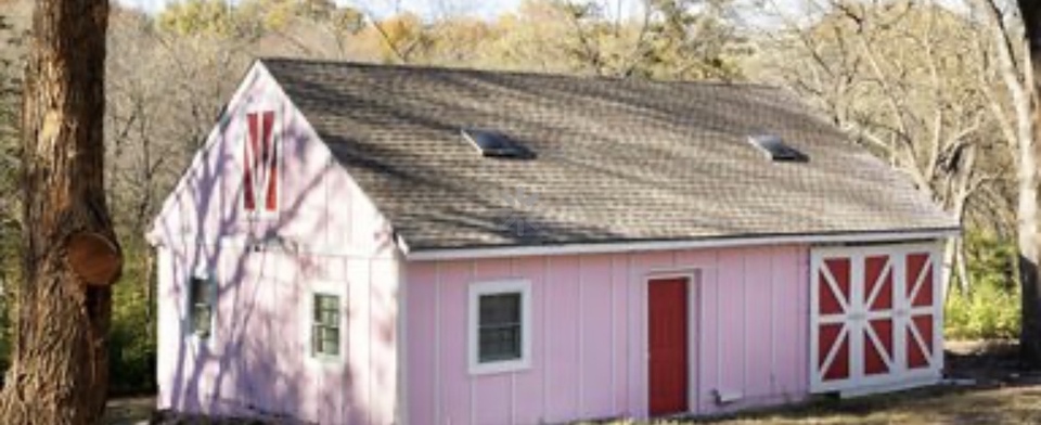 Would you have a pink shed at your house?