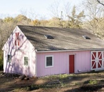 Would you have a pink shed at your house?