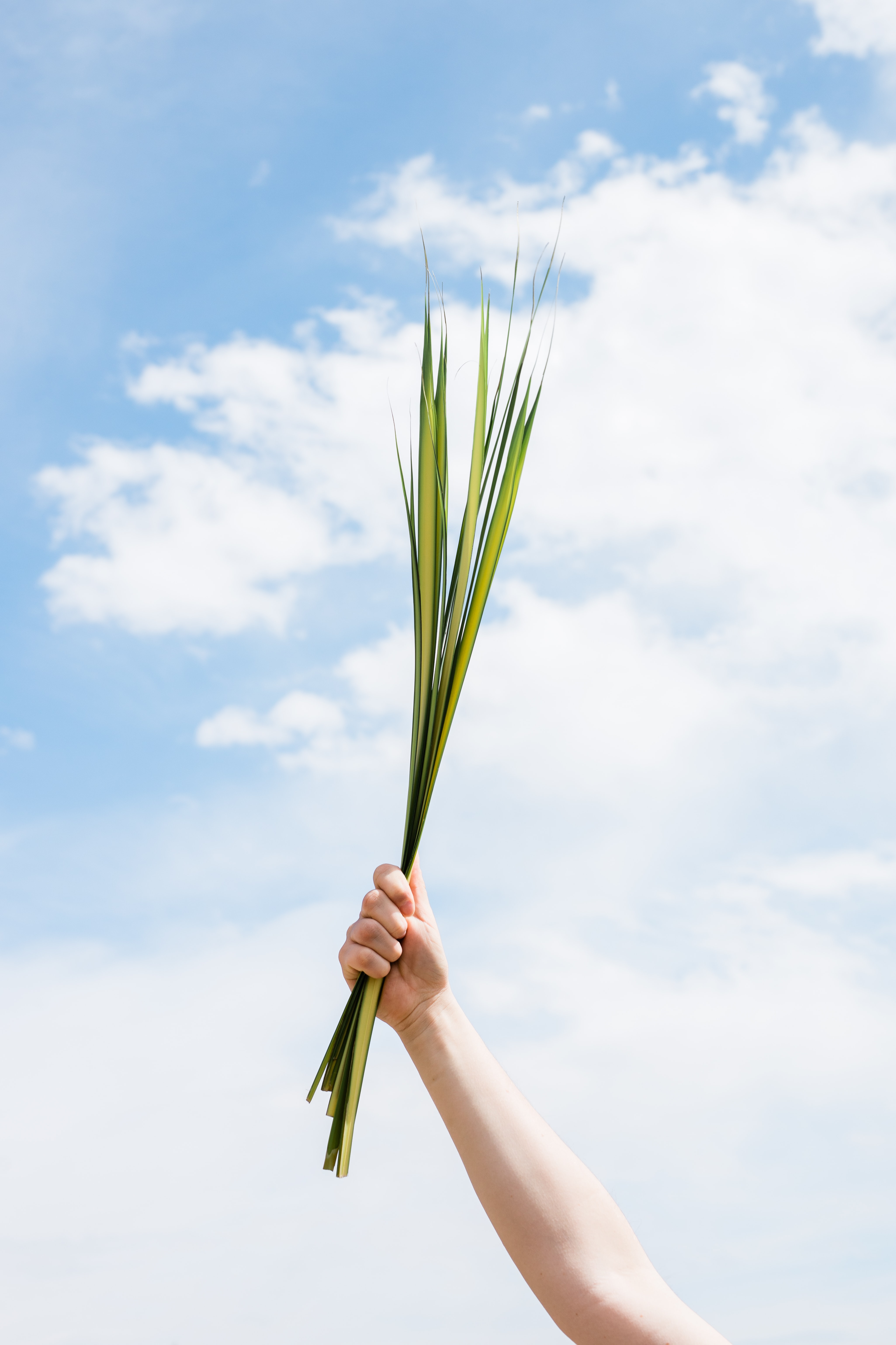 Are you giving up anything for Lent?