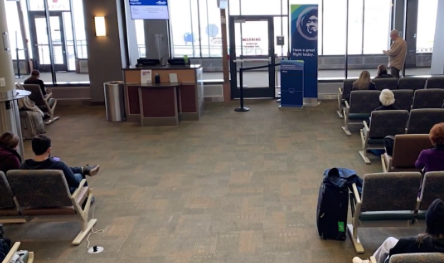 Have you flown or plan to fly this year?