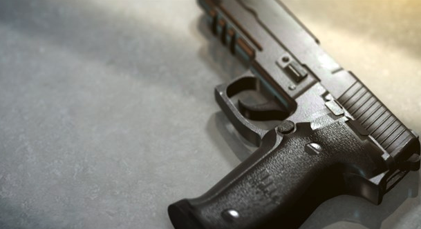 Do you support or oppose the Gun Storage Bill (HB 2510)?