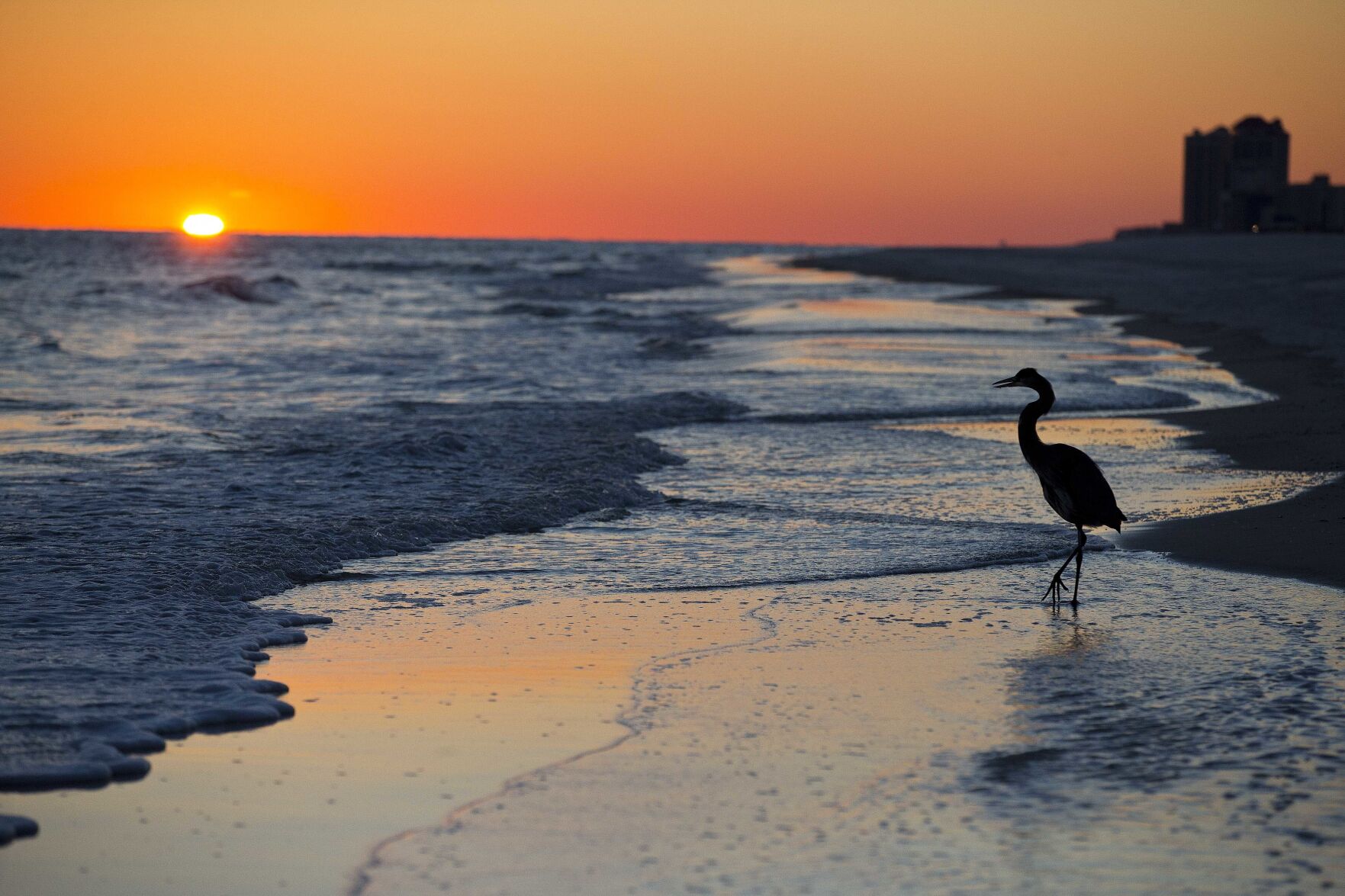 Are you planning to go on a summer vacation?
