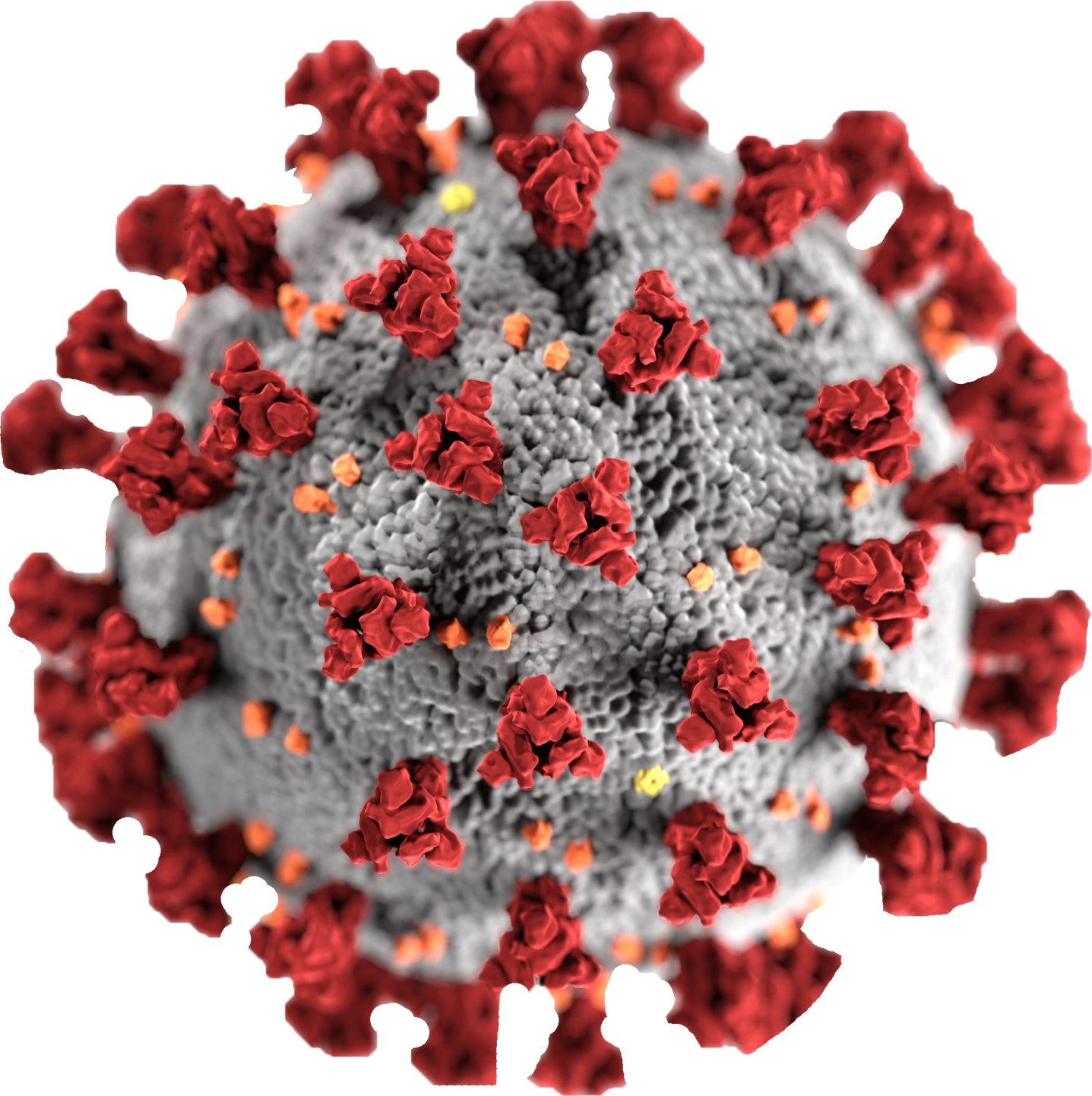 Do you think we'll ever really know the origins of the coronavirus?
