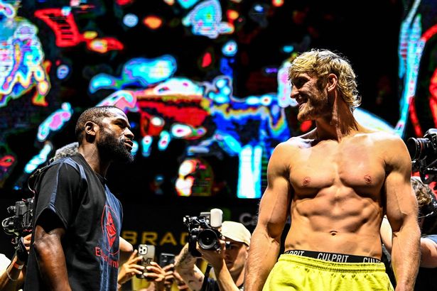 Who was the true winner of the Logan Paul vs. Floyd Mayweather fight?