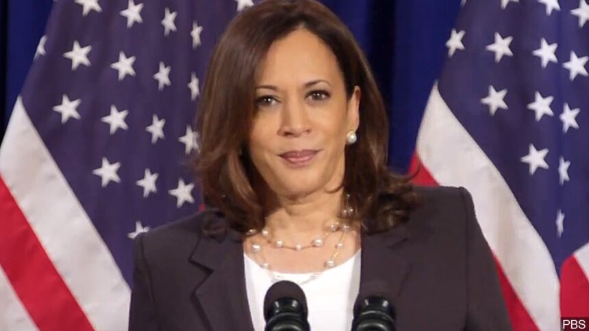 Will Vice President Kamala Harris make a difference in the immigration influx?