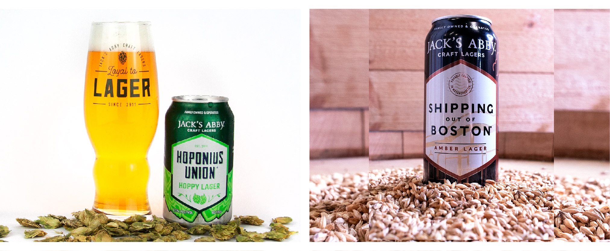 Which type of beer do you like more?