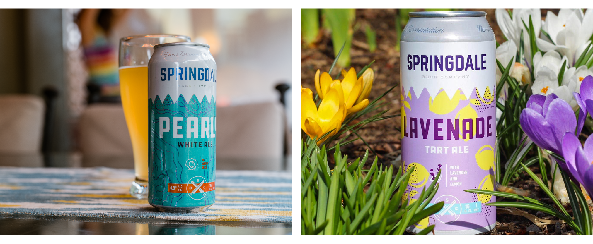 Which is the better summer beer?