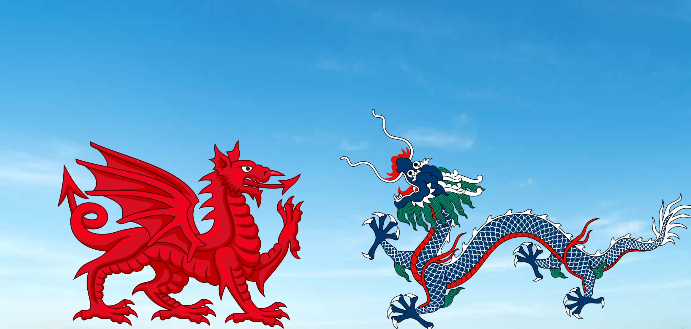 What type of Dragon is best?