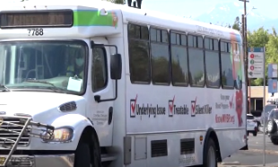 Do you use public transportation?