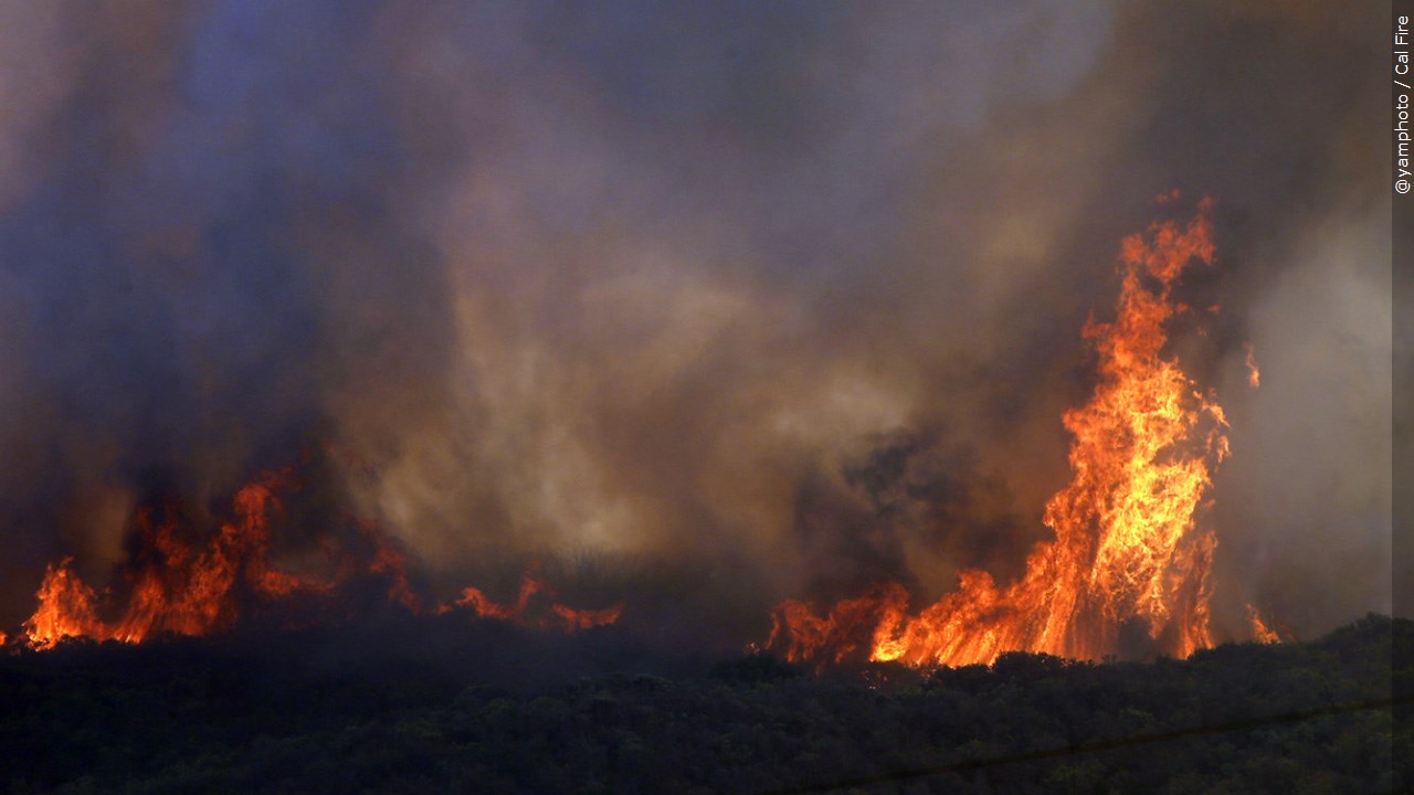Are you more fearful of brushfires this summer? 