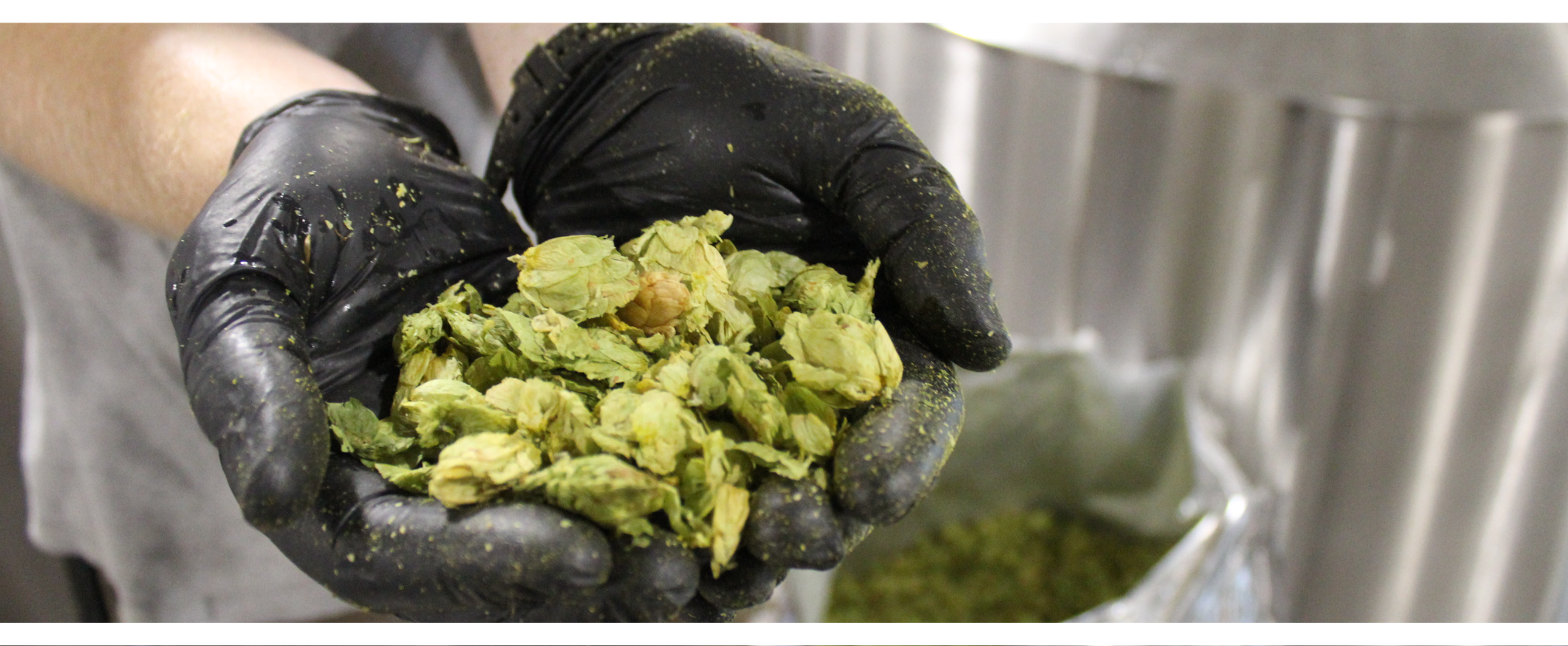 Have you ever wanted to work in the beer industry?