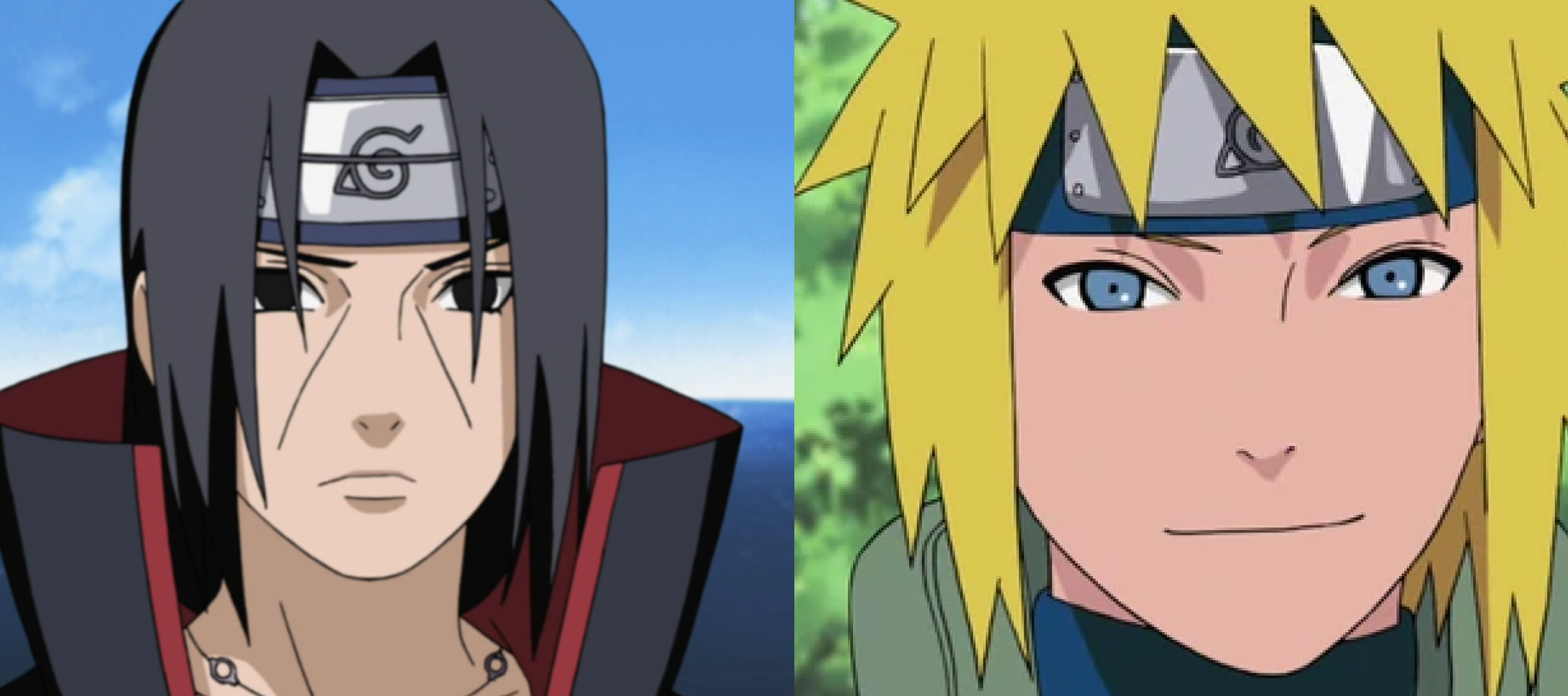 Who Would Win in a Fight???