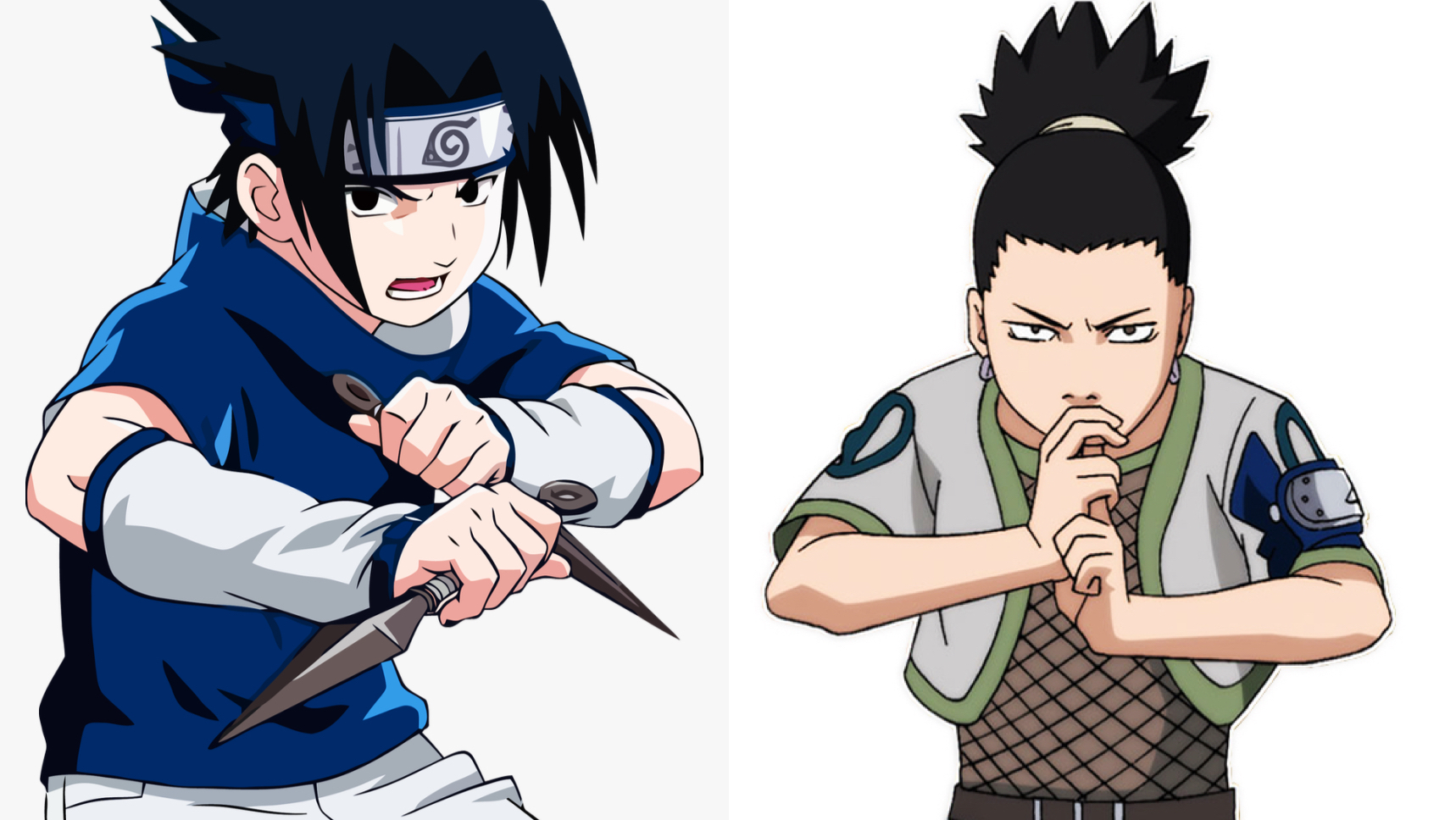 Who Would Win In a Fight???