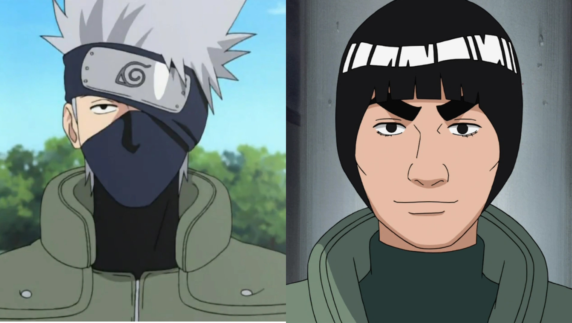 Who Would Win in a Fight???