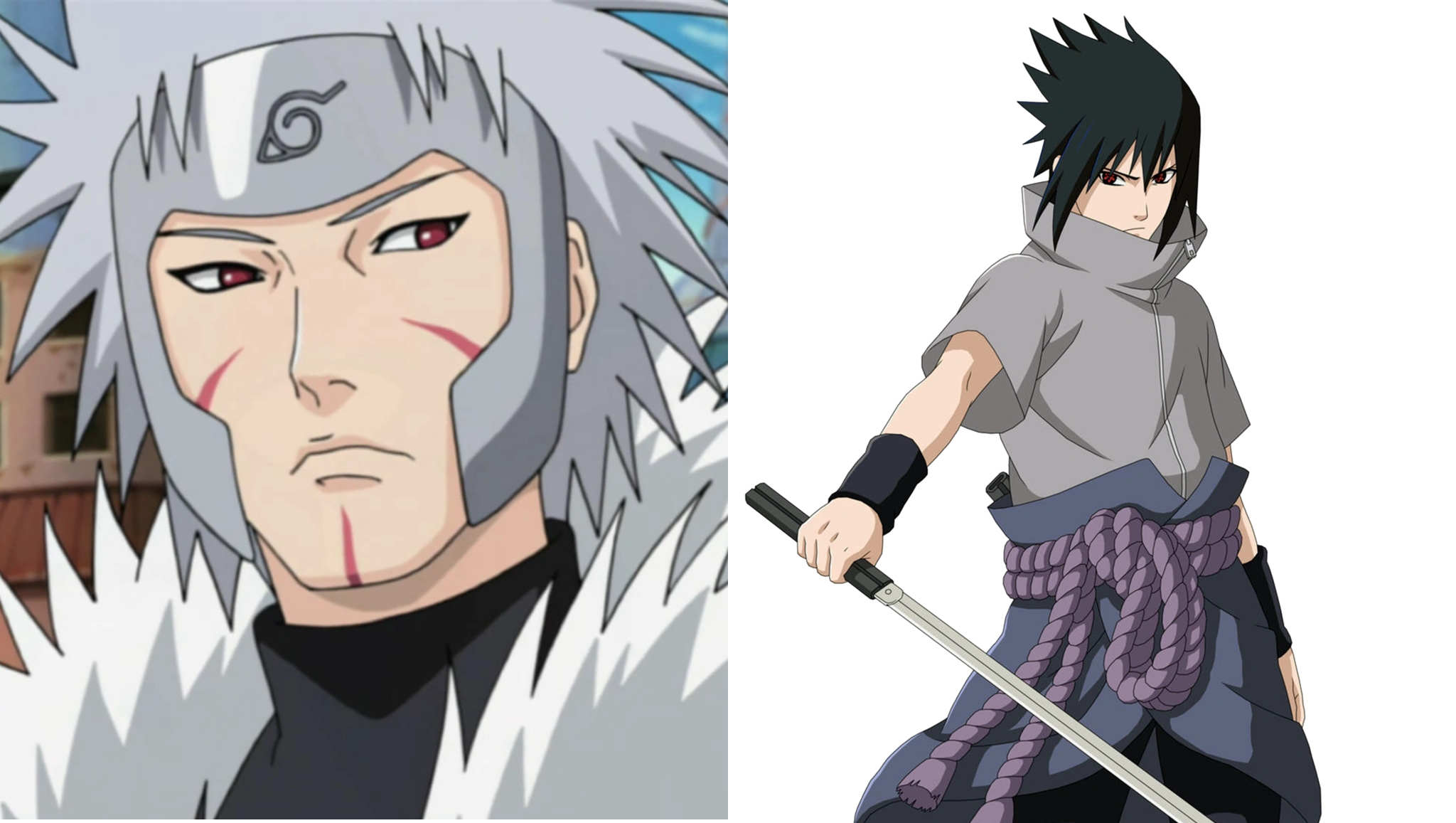 Who Would Win In a Fight???