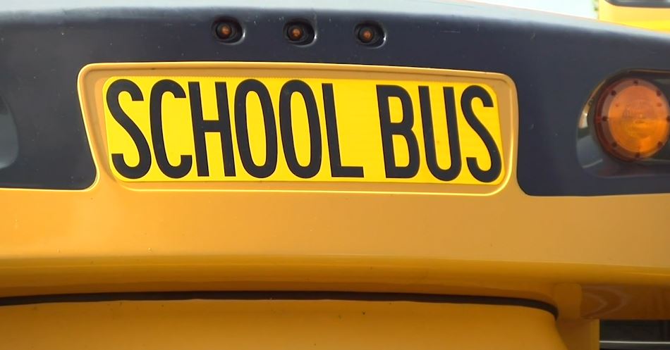 Are you satisfied with your school's coronavirus precautions?