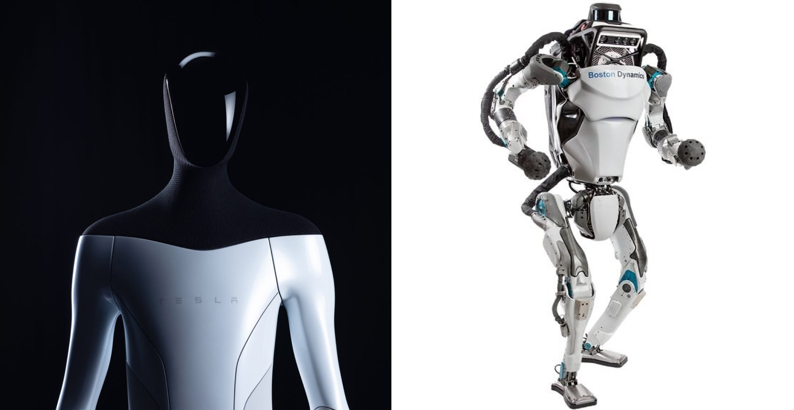 Who will lead the industry in humanoid robots in the years to come?