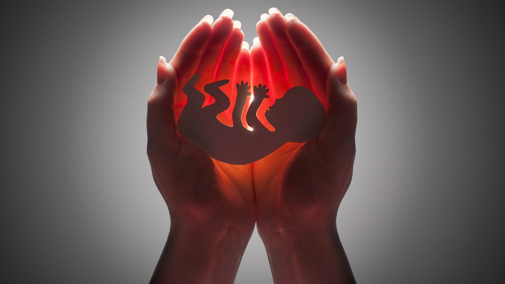 Does congress need to enact laws governing state abortions?