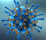 Are you now taking precautions against the coronavirus in public?