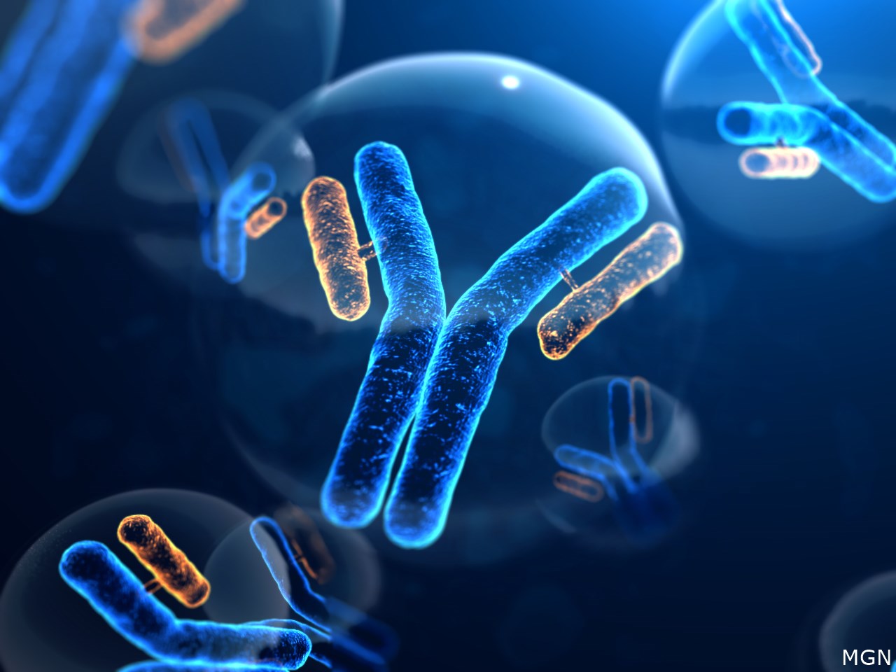 Are you interested in getting a COVID-19 antibody test?