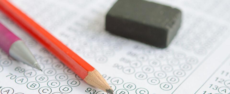 Do you think statewide assessment tests are a good idea for students and schools?