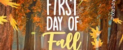 It's officially autumn! How do you feel about heading into the fall season? 