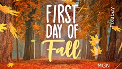 It's officially autumn! How do you feel about heading into the fall season? 