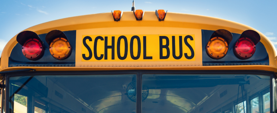 Do you think seat belts should be required for school buses?