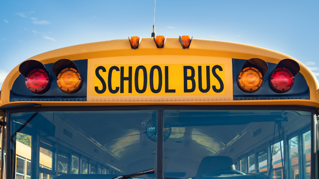 Do you think seat belts should be required for school buses?